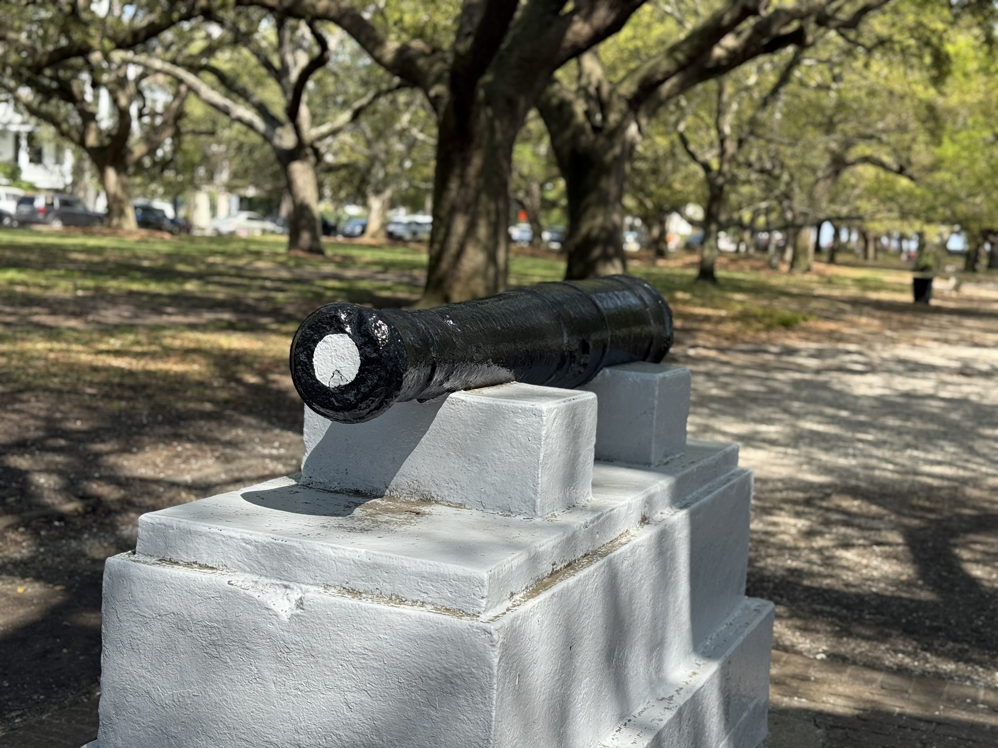 Model Cannon in White Point Park in Charleston, Sc. Large live oak trees in background