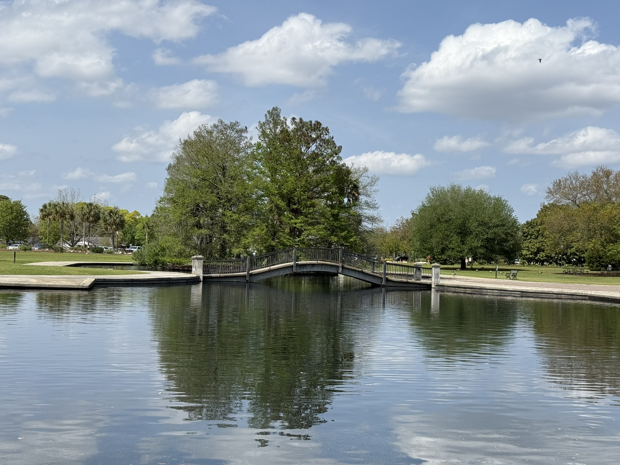 Hampton Park in Charleston, SC view showing water feature and bridge with greenery and trees in the background with a blue sky with big white fluffy clouds