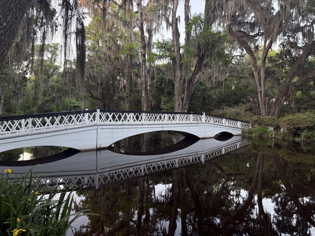 Magnolia Plantation outside of Charleston, South Carolina. This is a white bridge over a pond on the plantation on a sunny day. The reflection of the bridge and trees can be seen in the water.