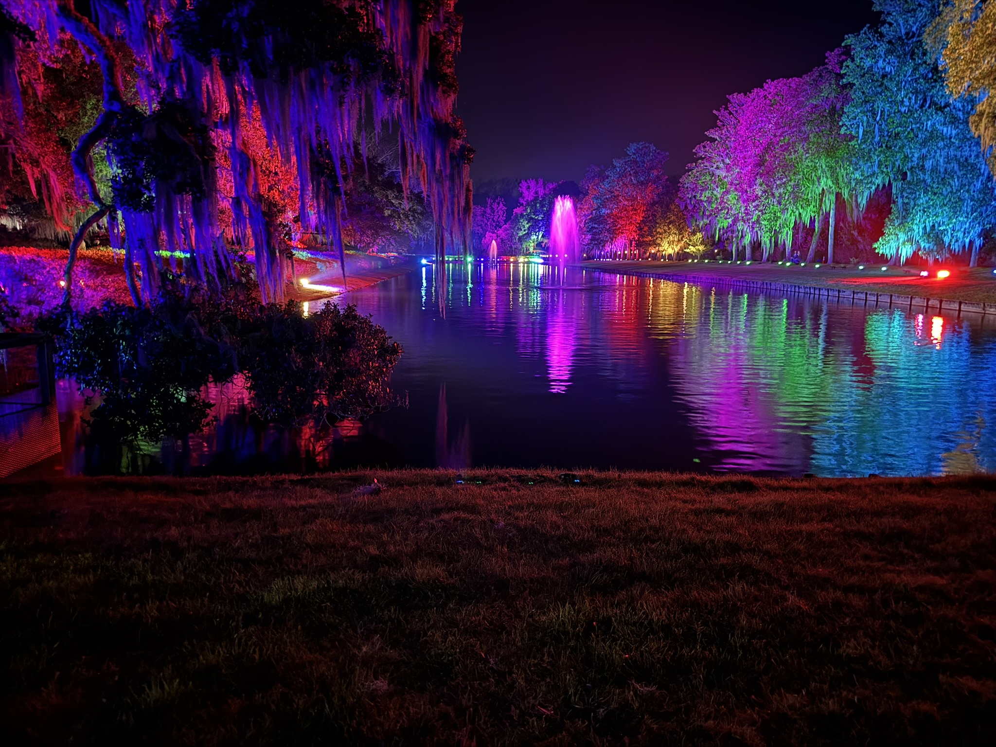Middleton Place Gardens light up by multiple color lights with a pond, grass and the dark night sky also visible