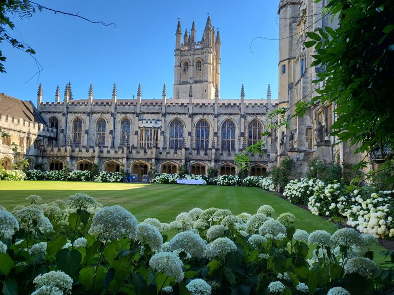 Oxford gardens Magdalen College white hydrangeas and old college buildings