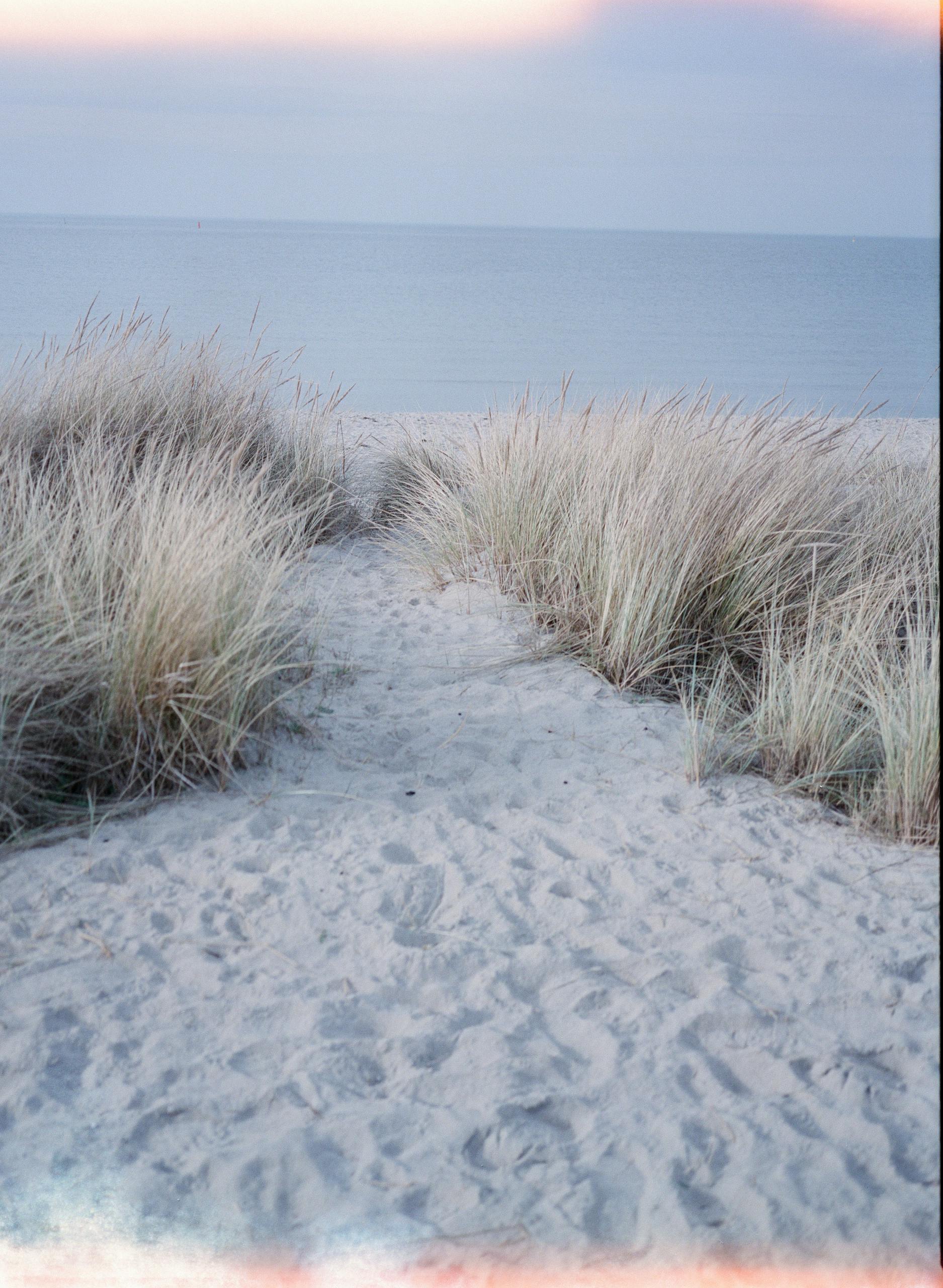 A peaceful path through coastal grass leading to the sea in Copenhagen, Denmark.