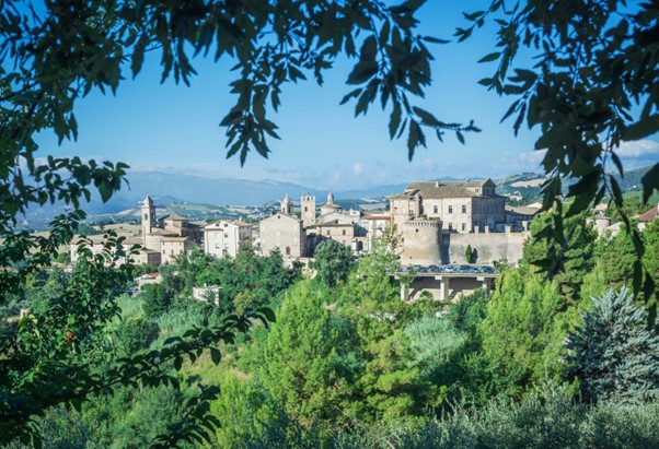 A view of the small towns in Italy in the distance while looking over a green landscape filled with evergreen trees