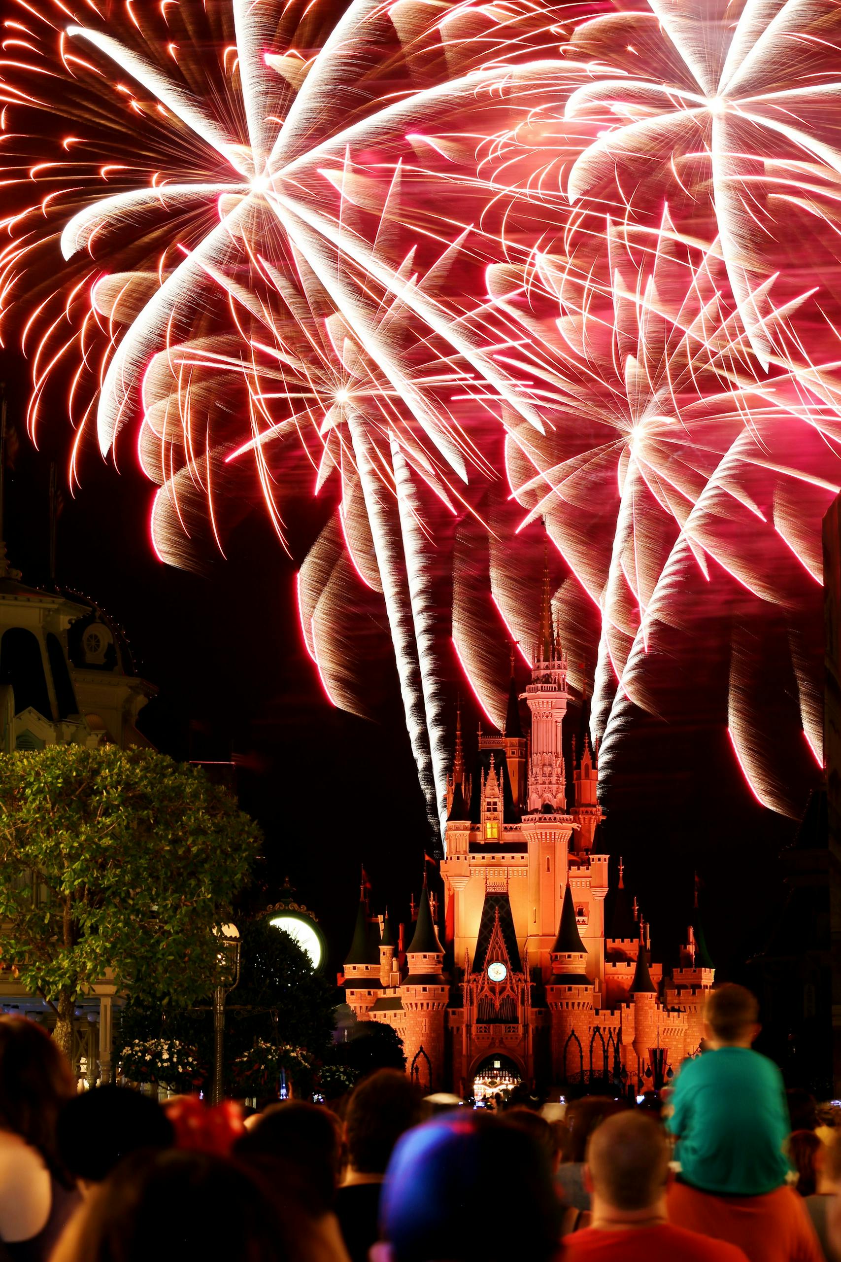 Vibrant fireworks light up the night sky over a castle as crowds watch in awe at the Magic Kingdom.