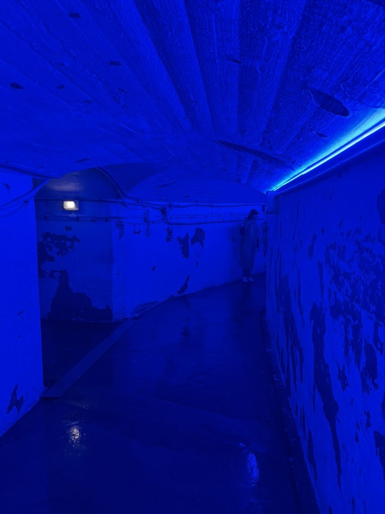 Walking through the man-made caves in Journey Behind the Falls. The cave looks blue due to the lights