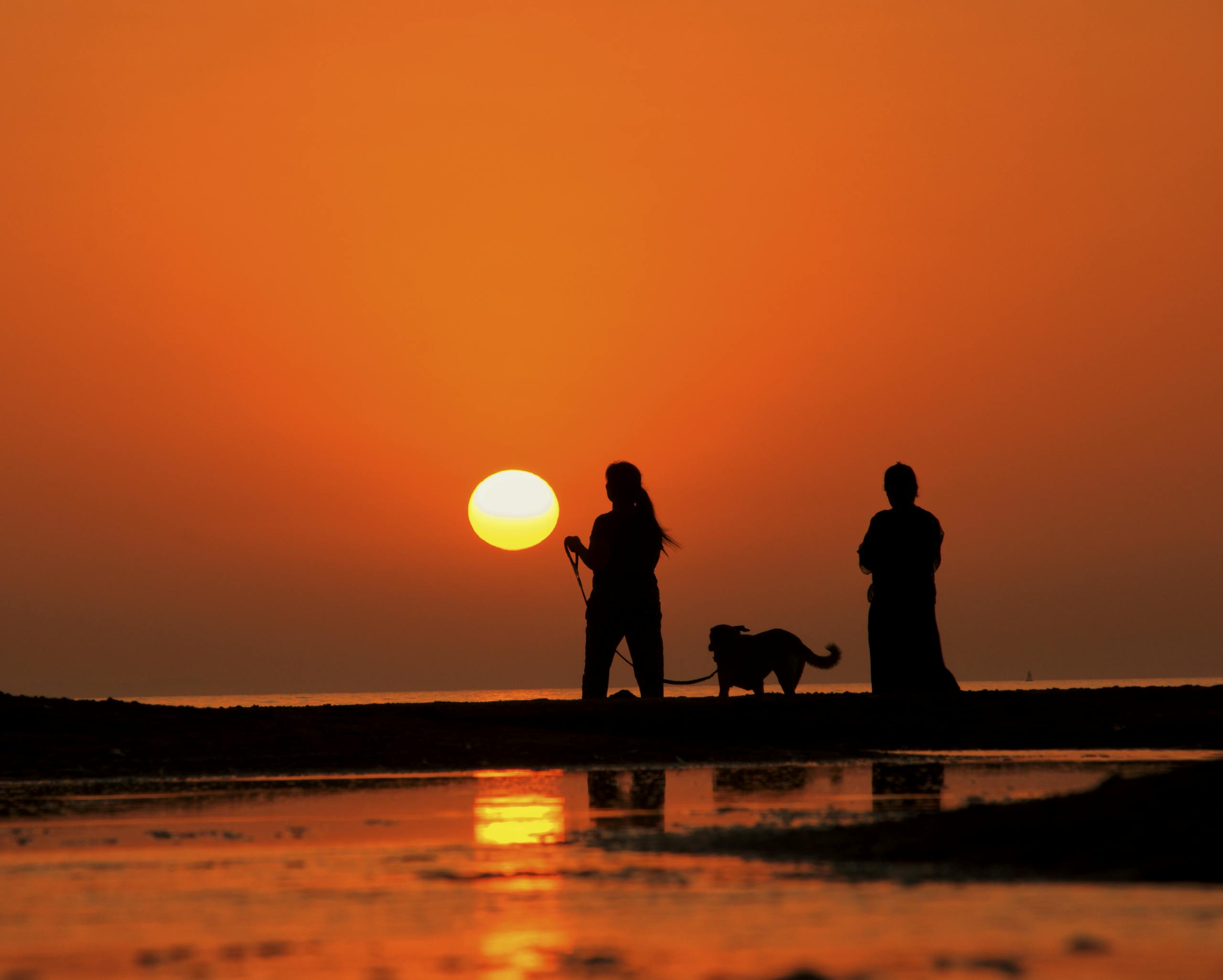 Two people and a dog silhouetted against a vibrant sunset on the beach in dog friendly Charleston.