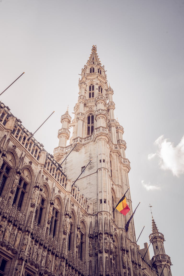 View of the intricate architecture of Brussels Town Hall in Grand Place, bathed in sunlight.