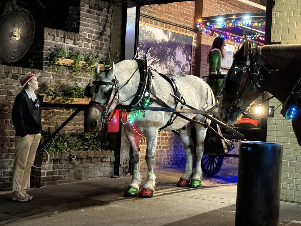 Old South Carriage Tours Horse with red and green glittery hooves, adorned for Christmas in Christmas date ideas in Charleston, SC