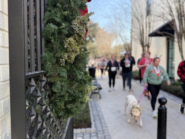 People running and walking by American Gardens during the Reindeer Run in Charleston Holiday Runs