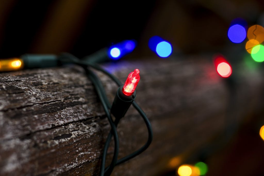 Close-up of colorful string lights wrapped around a wooden log, creating a cozy and festive atmosphere in the best Christmas events in Charleston, SC