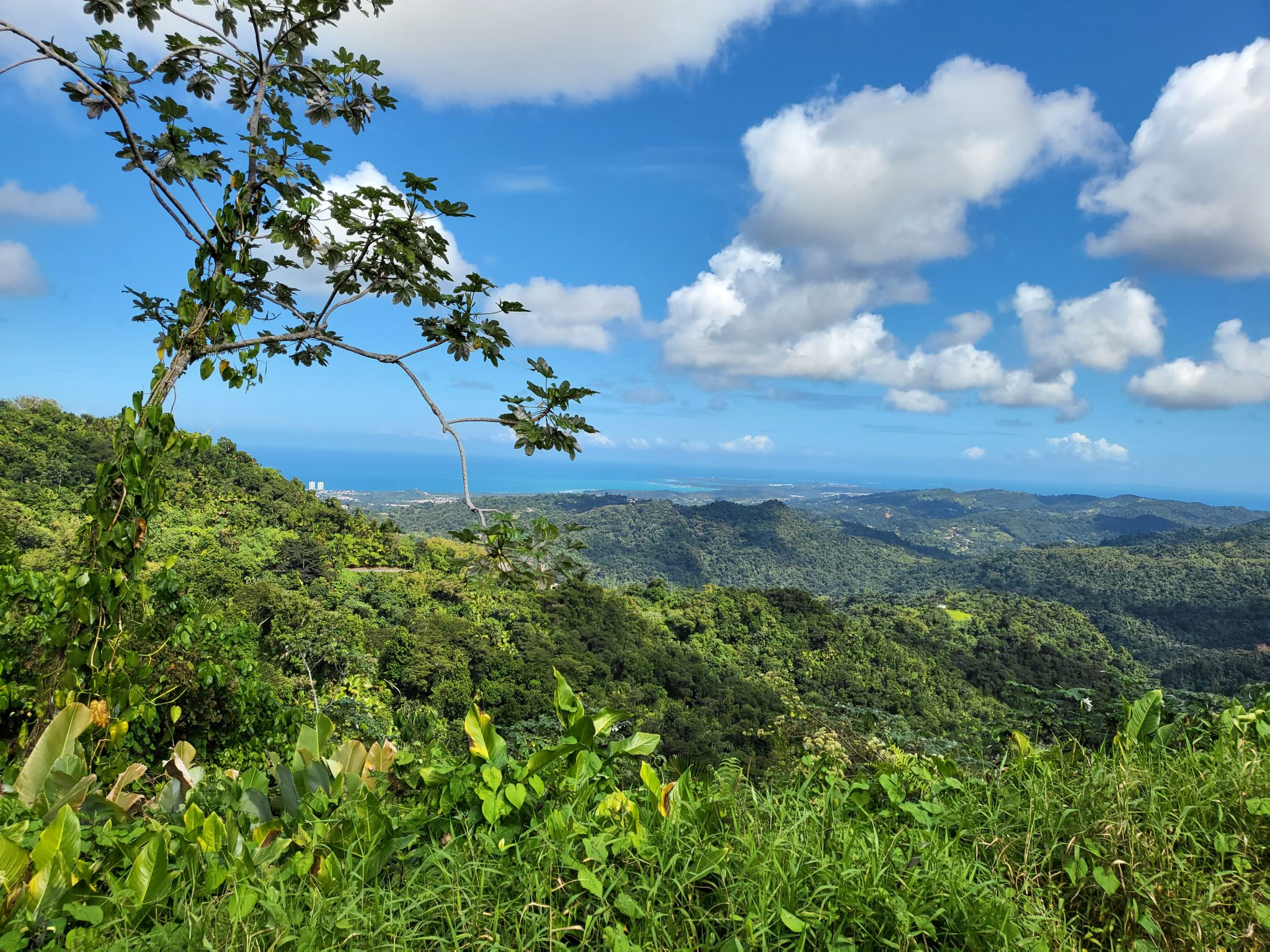 Puerto Rico in December: The Ultimate 2026 Guide to Weather, Christmas ...
