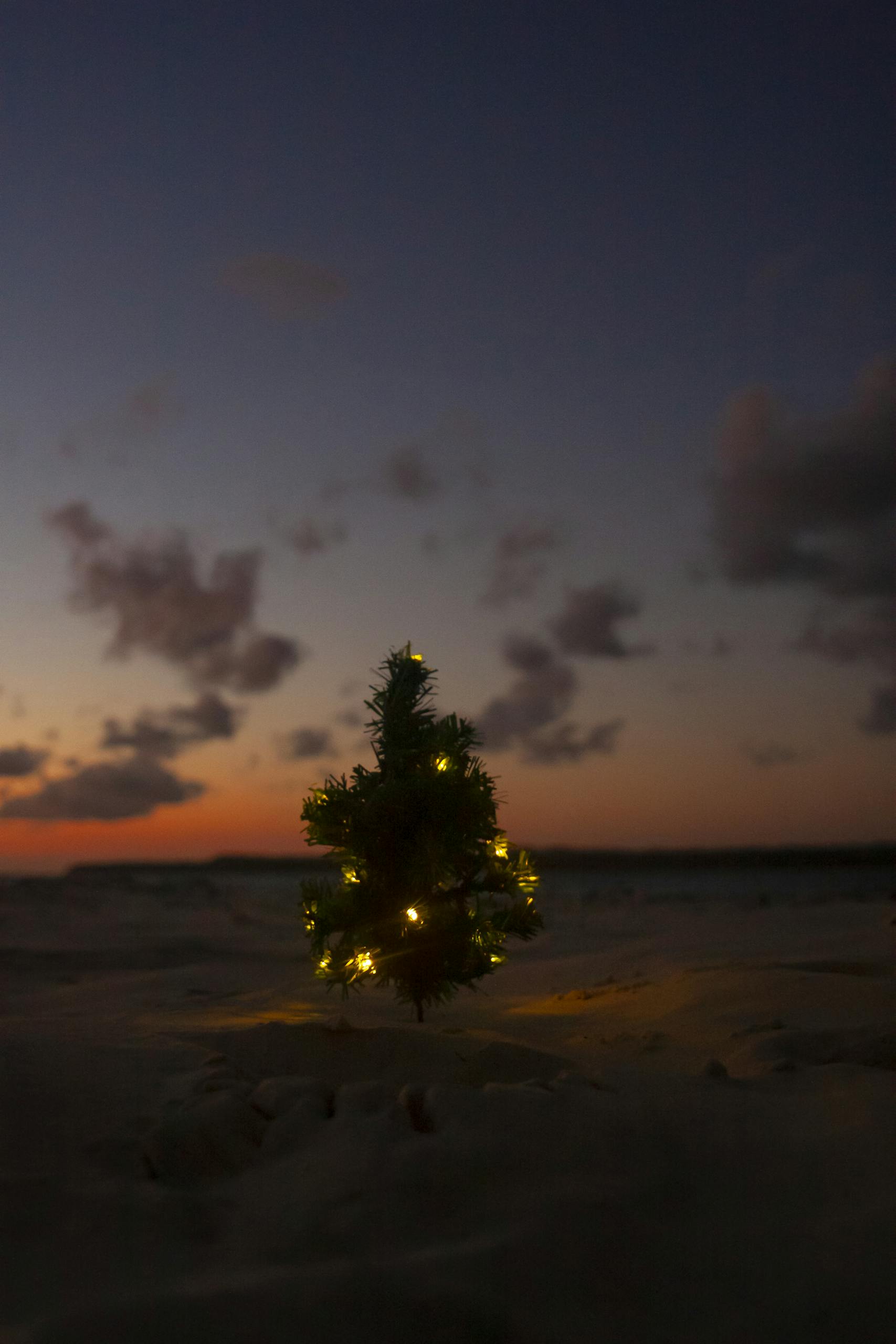 Puerto Rico In December Puerto Rico in December: The Ultimate 2026 Guide to Weather, Christmas ...