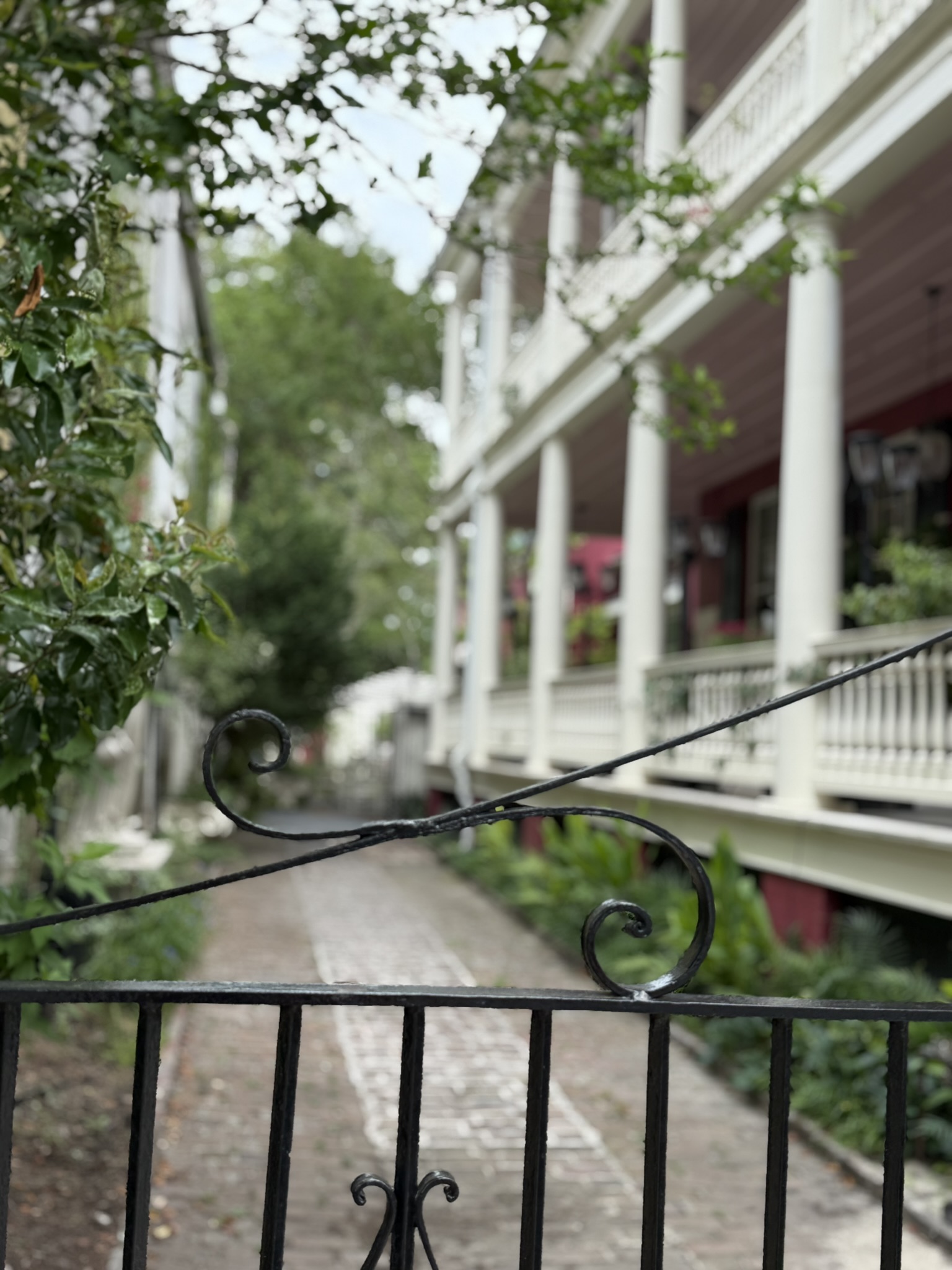 View of a secret garden and intricate gate in the historic district of Charleston, SC as seen in is Charleston worth visiting?