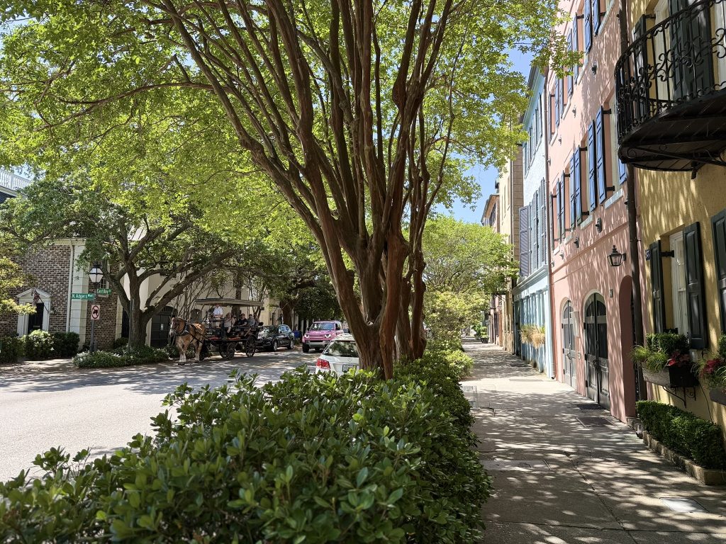 A view down Rainbow Row in is Charleston worth visiting with a horse drawn carriage going down the street