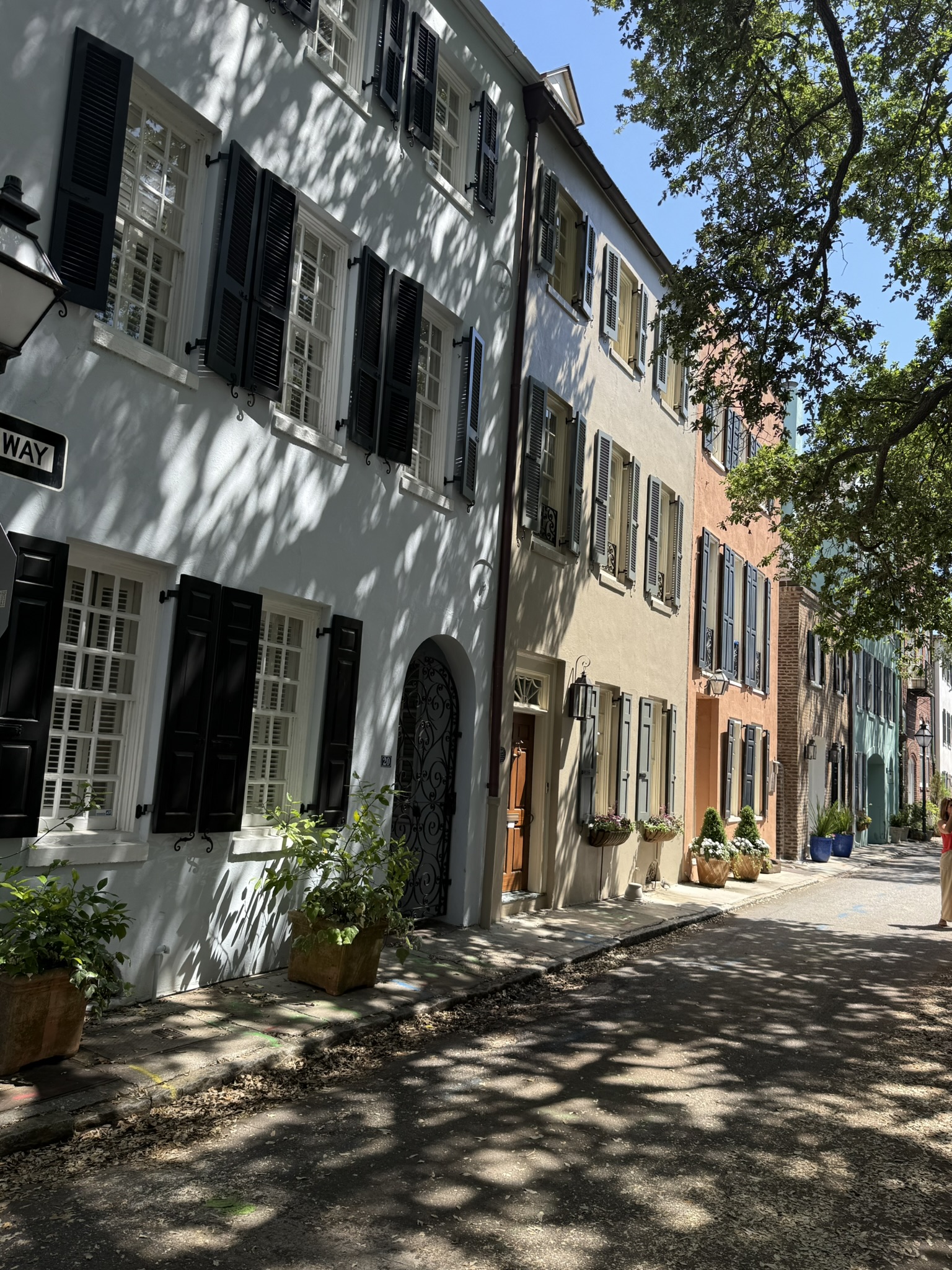 Picture of colorful houses in Charleston, SC on a sunny day in is Charleston worth visiting