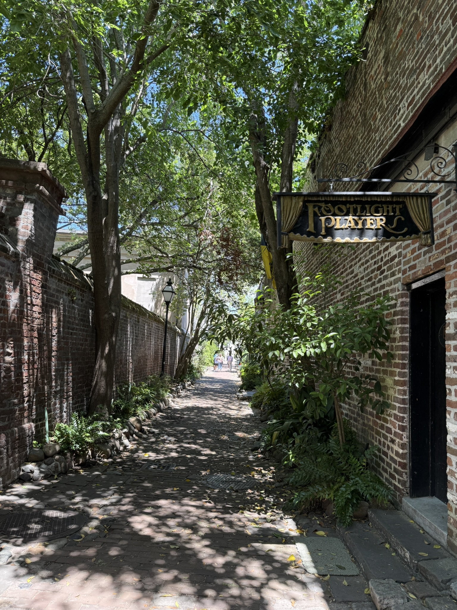 View down Philadelphia Ally in Charleston, SC on a sunny summer day in is Charleston worth visiting?