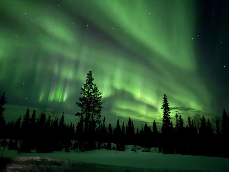 Above the snow covered ground and tall pine trees a beautiful array of electric green and red tinted Northern Lights can be seen in Lapland.