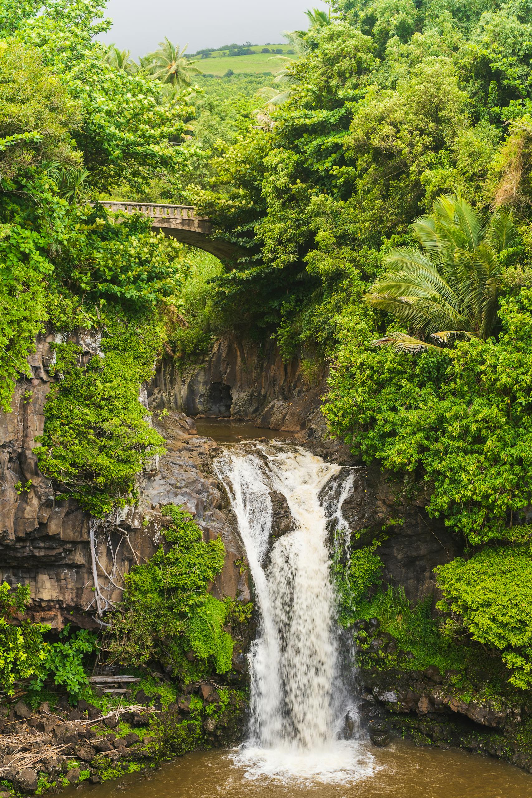 A tranquil waterfall in lush Hawaiian landscape on the Road to Hana as seen in Maui during things to do in Maui for couples