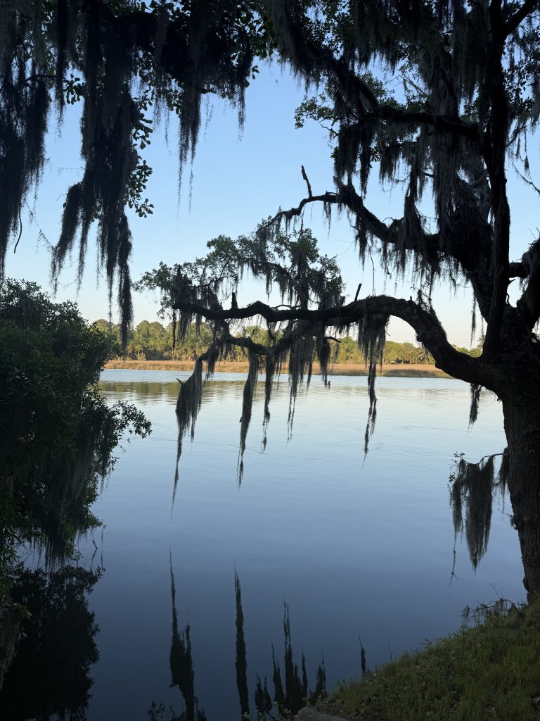 The sun is setting over the Ashley River behind a live oak with Spanish moss hanging from it's limbs as seen in Magnolia Plantation outside of Charleston, South Carolina