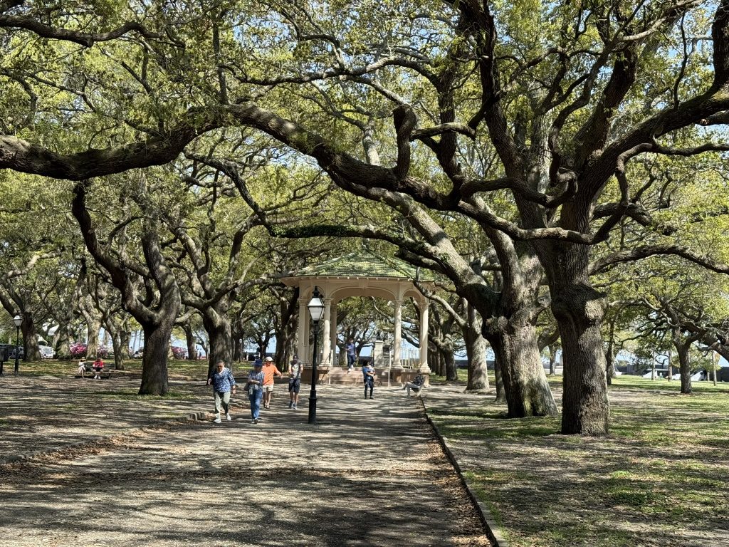 In free things to do in Charleston, stop by White Point Gardens as shown in this picture. Large live oaks and ample shade, benches and a gazebo are seen in this photo