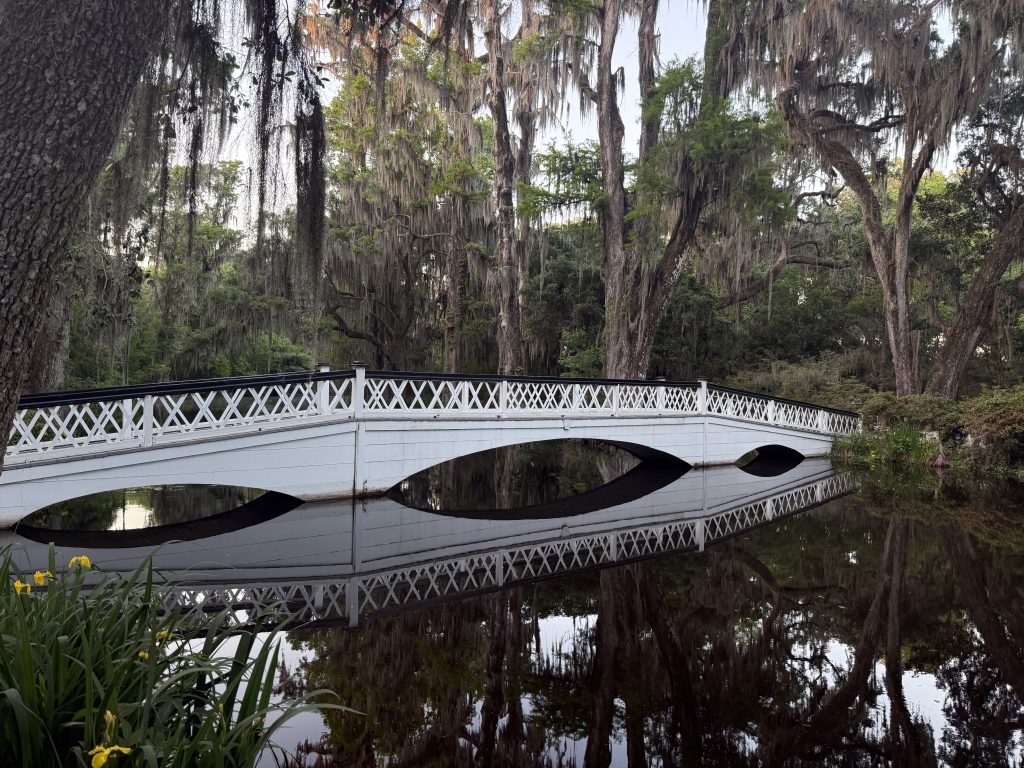 A scene from Magnolia Plantation in Charleston, SC with a white bridge going across a pond as the sun is getting lower in the sky, you can see the reflection of the bridge and trees in the water.