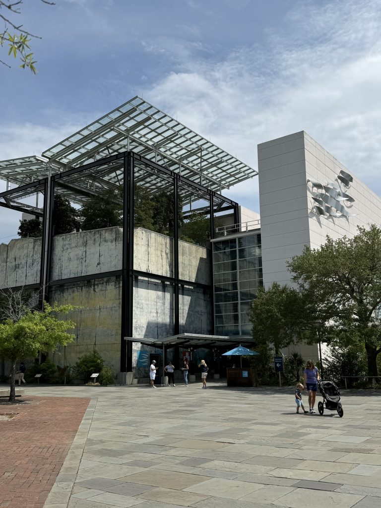 The South Carolina Aquarium in Charleston, South Carolina on a day that is too hot to do anything else outside.