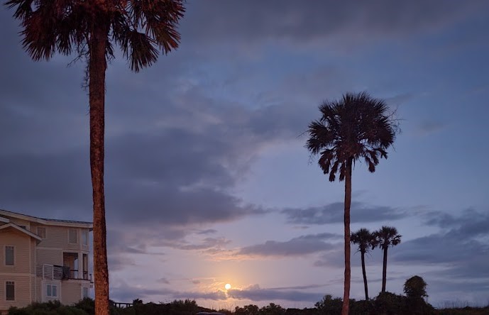 The Full moon rising near Charleston, South Carolina with palm trees in the foreground when we are looking for things to do in Charleston when its too hot outside