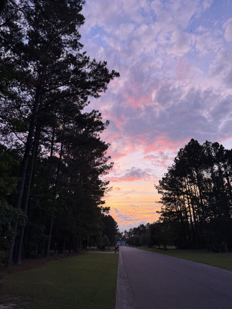 Sunset in the fall in a neighborhood in Charleston, South Carolina when is the best time to visit Charleston, SC?