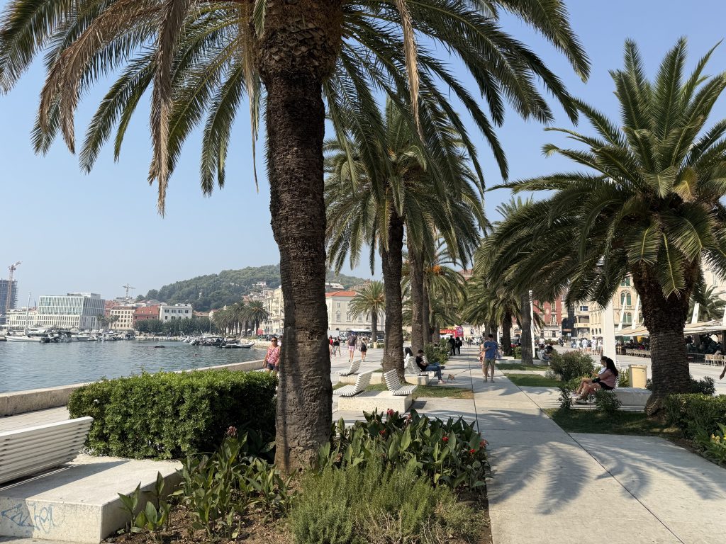 Shady palm-lined benches along the Riva on a hot, sunny day in Split