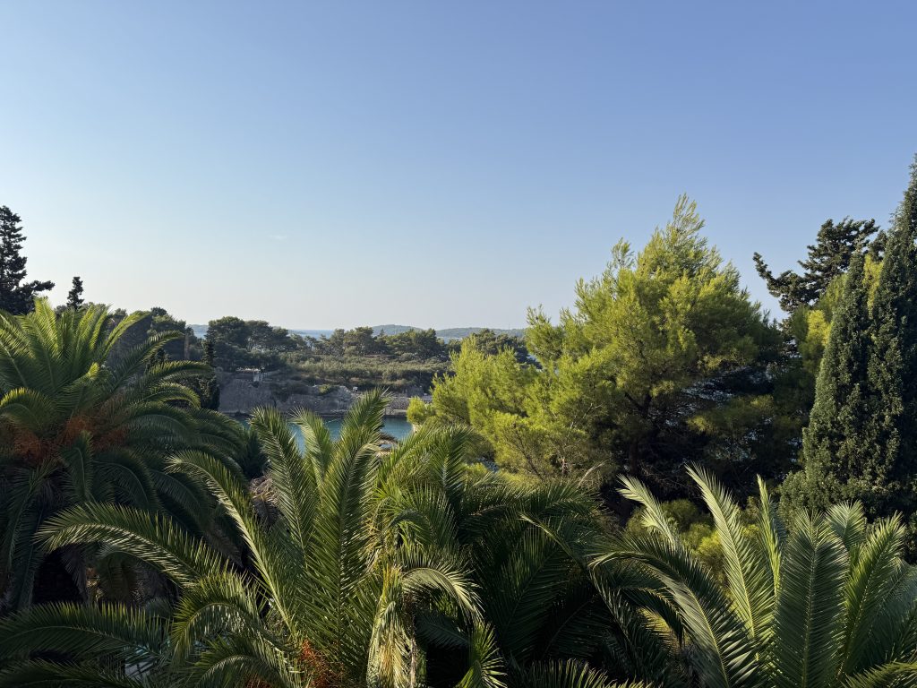 View from a hotel room at Hotel Podstine on Hvar, looking over palm fronds and pine trees to a turquoise cove with a rocky shoreline, wooded islands on the horizon, and a clear blue sky.