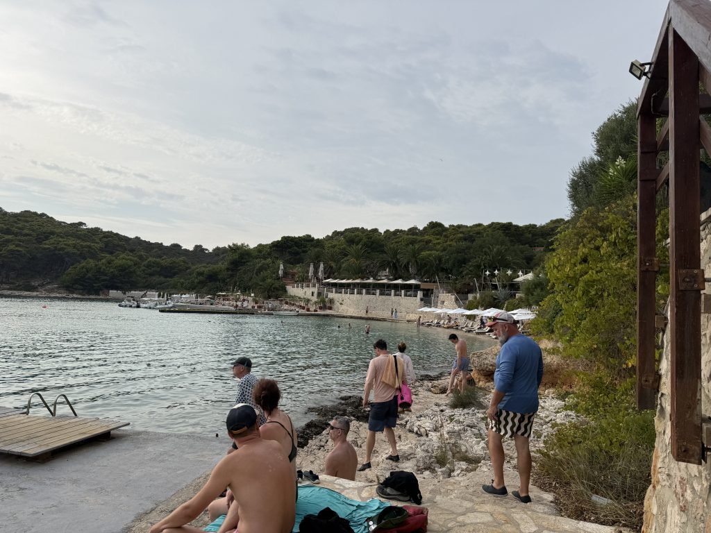 Swimmers and sunbathers on a rocky shore beside a calm, pine-fringed cove under a soft overcast sky, in Palmizana, Croatia, with a wooden swim platform and ladder in the foreground and a beach club with white umbrellas and loungers along the far shore.